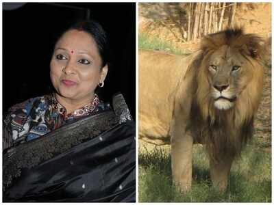 Following the recent plea, 'Yajamana' producer Shylaja Nag adopts the lion named "Darshan" at Mysuru Zoo