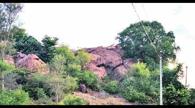 Leopard that injured 2 returns to Kolli hills