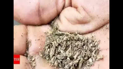 Drugs seized at Chennai international airport