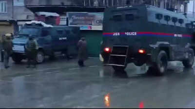 4 Al-Badr terrorists, 3 associates held in north Kashmir