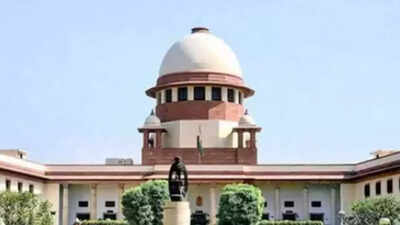 Supreme Court to look at enforcing Fundamental Duties