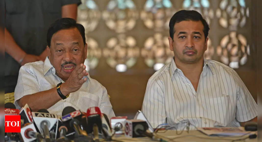 Maharashtra Narayan Rane Son Have Become Punching Bag For Govt Says