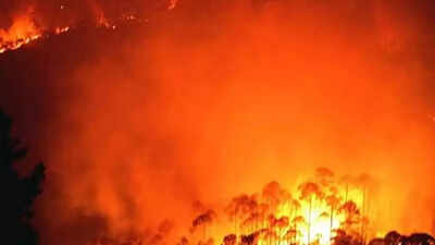 778 ha forests burnt in Uttarakhand in last few weeks