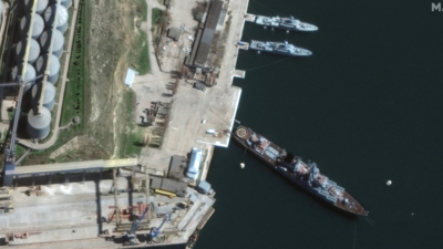 Trained dolphins guarding Russia's military assets in Black Sea port: Report