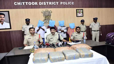 Andhra Pradesh: Chittoor police seize 14kg ganja, four smugglers arrested