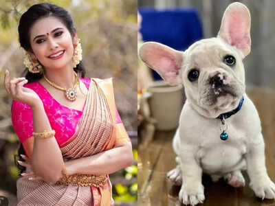 Kavya Gowda welcomes 'Rolex' into her family; read post