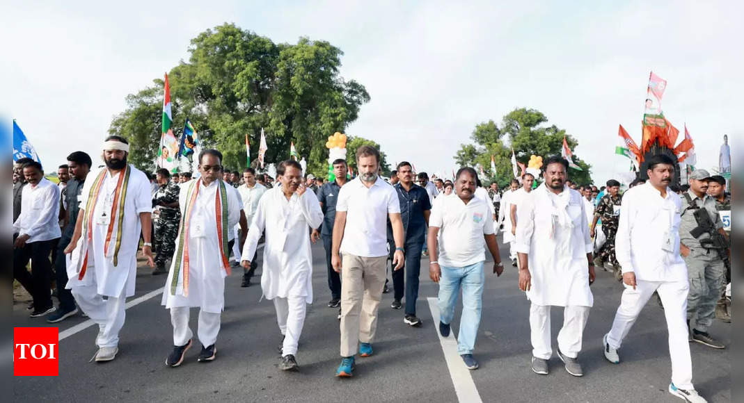 Rahul Gandhi S Bharat Jodo Yatra Enters Andhra Pradesh India News