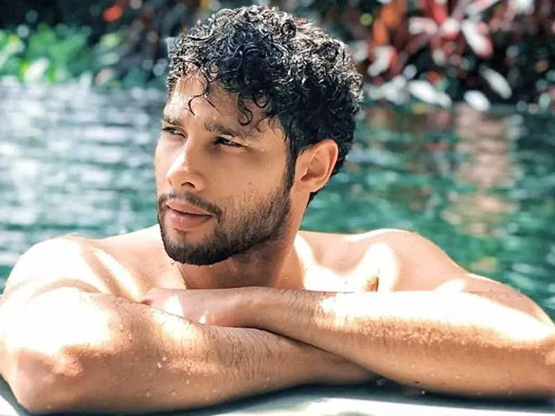 Siddhant Chaturvedi Puts Up A Shirtless Selfie Netizens Can T Stop