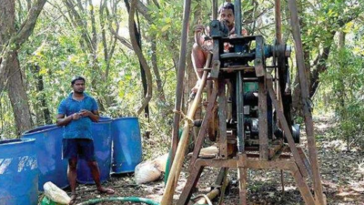 Kalasa Project Now Karnataka Soil Tests In Reserved Forest Goa News