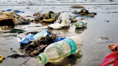 Chennai Sea Sends Back Garbage At Foreshore Estate Beach Chennai