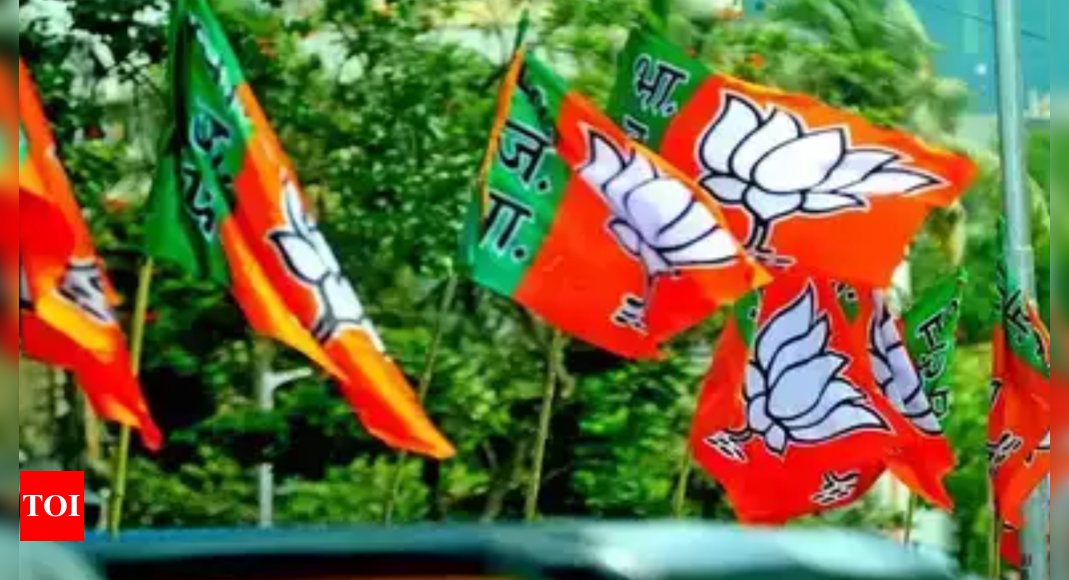 Delhi MCD Elections 2022 BJP To Launch Massive Voter Outreach Drive On