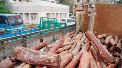 Red Sanders Logs Worth Rs Crore Seized This Year South Korea New