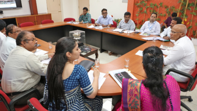Tirupati: Srinivasa Sethu elevated expressway's works to be completed by January 2023