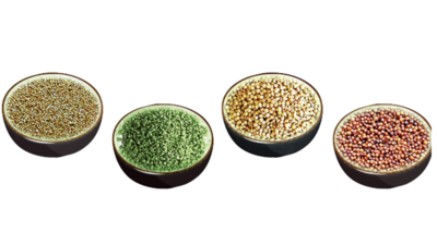 Why millet remains a cereal winner