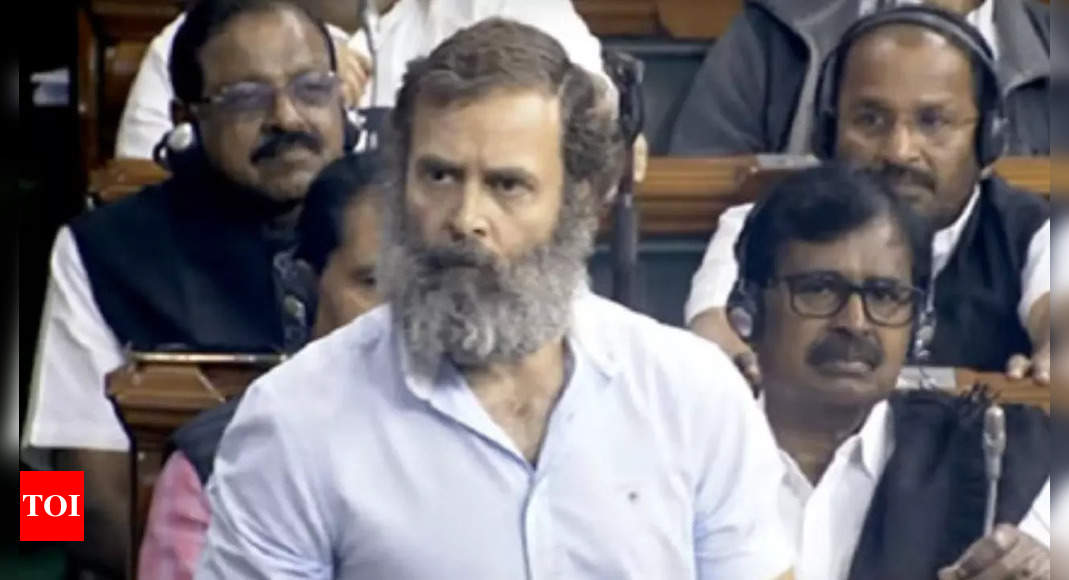 Parliament Session Rahul Gandhi Speaks In Lok Sabha Rakes Up