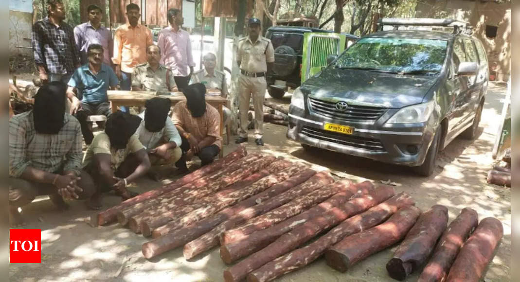 Task Force Arrests Four Smugglers In Andhra Pradesh 16 Red Sanders