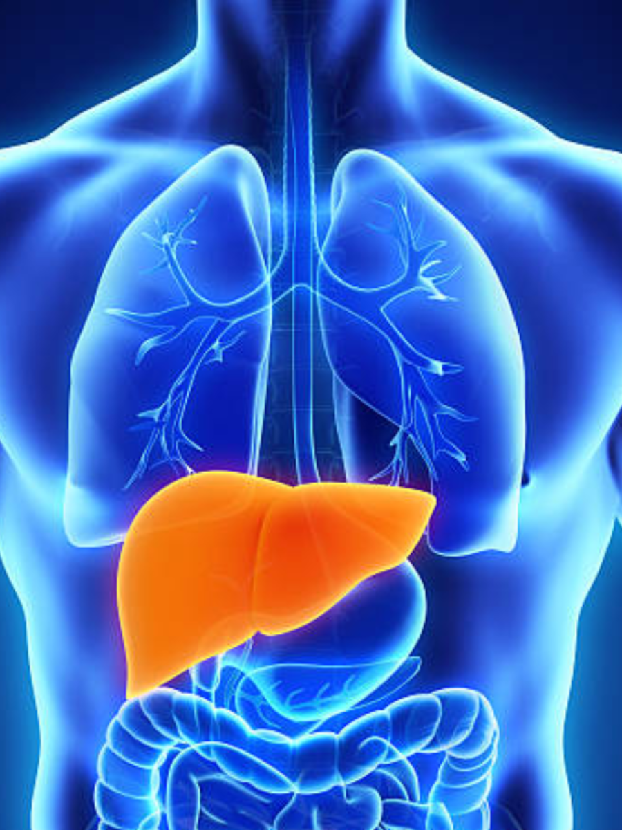 How To Reverse Fatty Liver Including The Foods That Help Times Of India