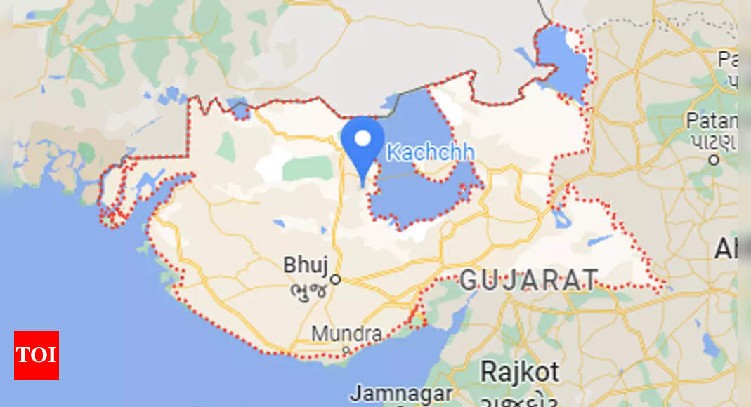 3 3 Magnitude Earthquake Hits Gujarat S Kutch District Ahmedabad News