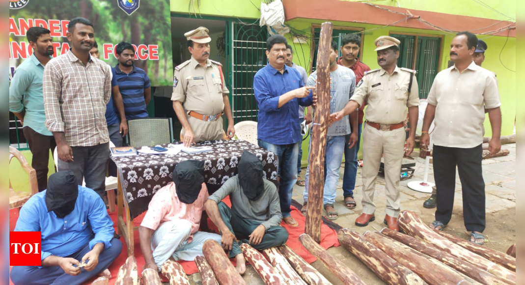 Red Sanders Logs Worth Rs 75 Lakh Seized 3 Arrested In Andhra Pradesh