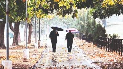 Rain drops temperature to 25C; cloudy sky for 2 days, says MeT in Chandigarh