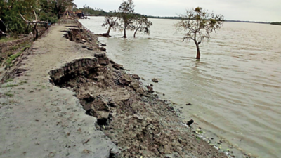 Dutch Experts Help Strengthen Sundarbans Embankments West Bengal To