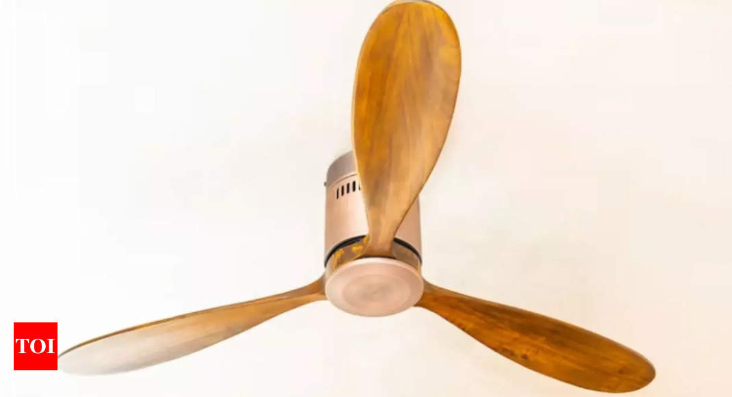 Best Bldc Fans In India That Will Save Energy And Money Times Of