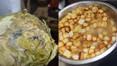 Fungal-infected cabbage and bread found at 3 restaurants