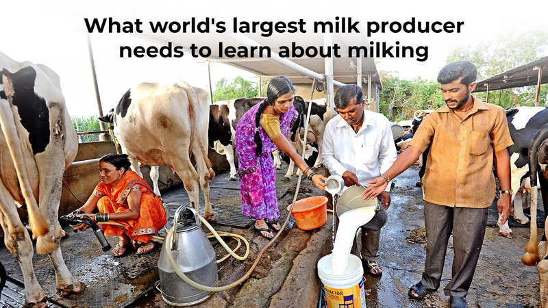 Why World S Biggest Milk Producer Is Thinking Imports India News