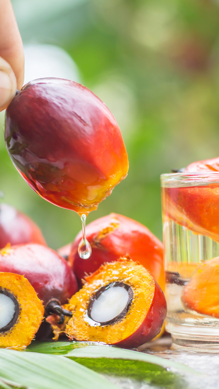 7 common foods with palm oil to STOP eating