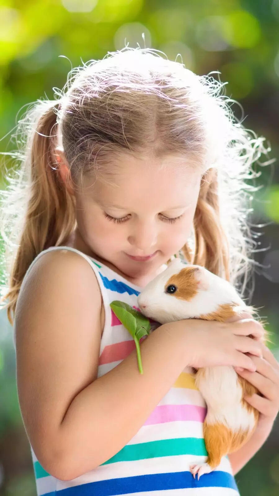 Popular pets to bring home other than cats and dogs