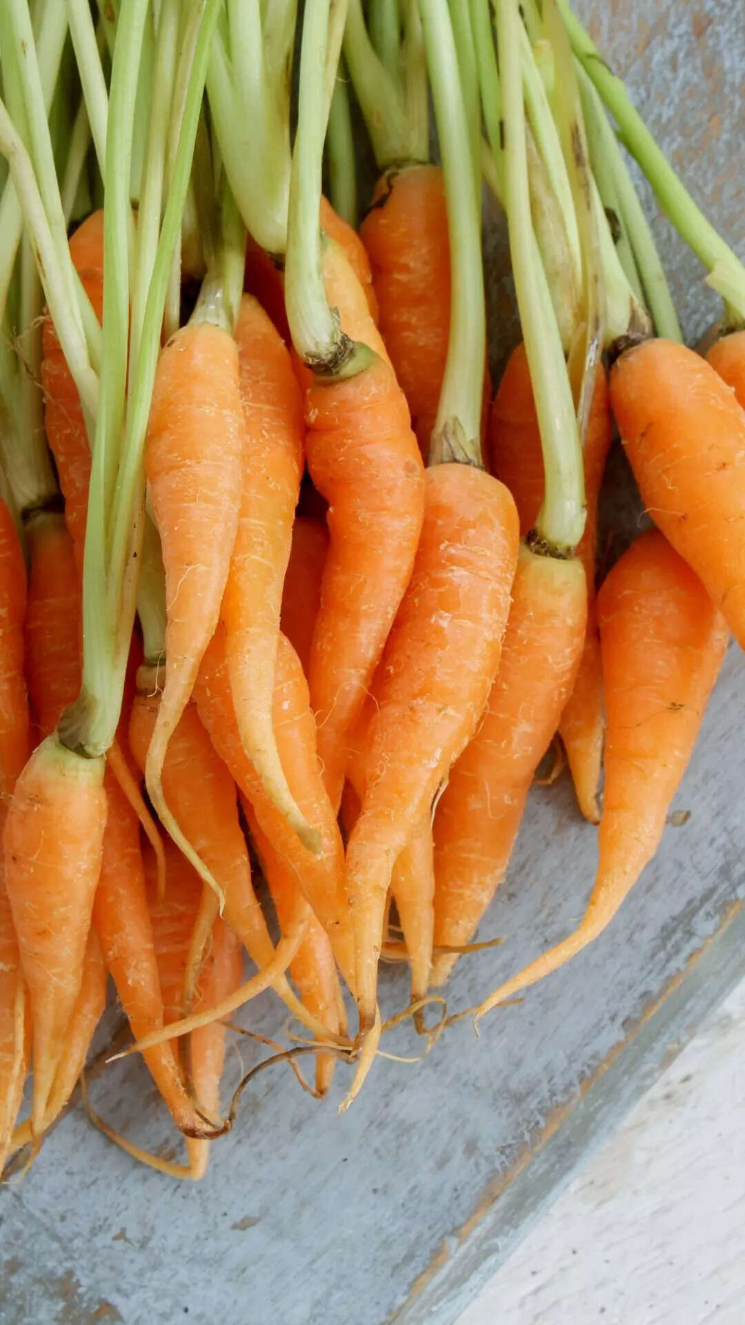 ​Baby Carrots