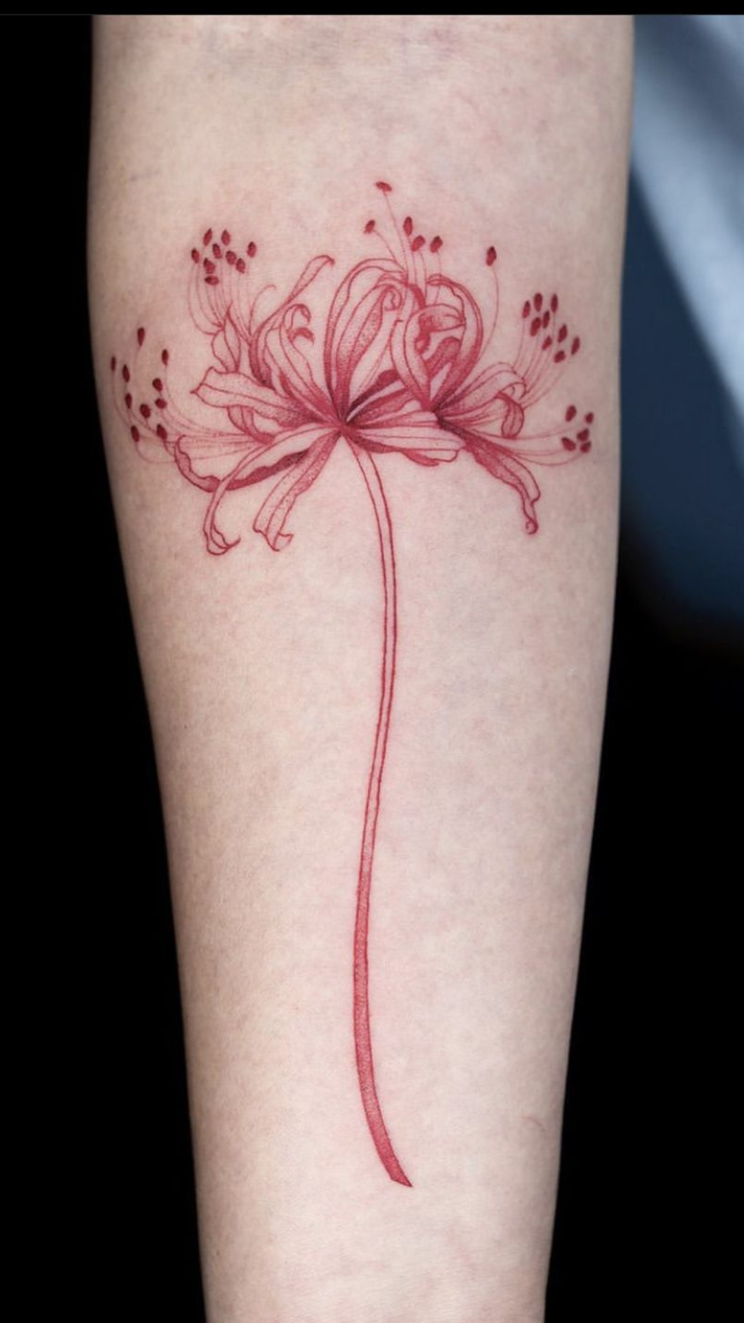 10 Beautiful And Amazing Fine-line Lily Flower Tattoo Designs