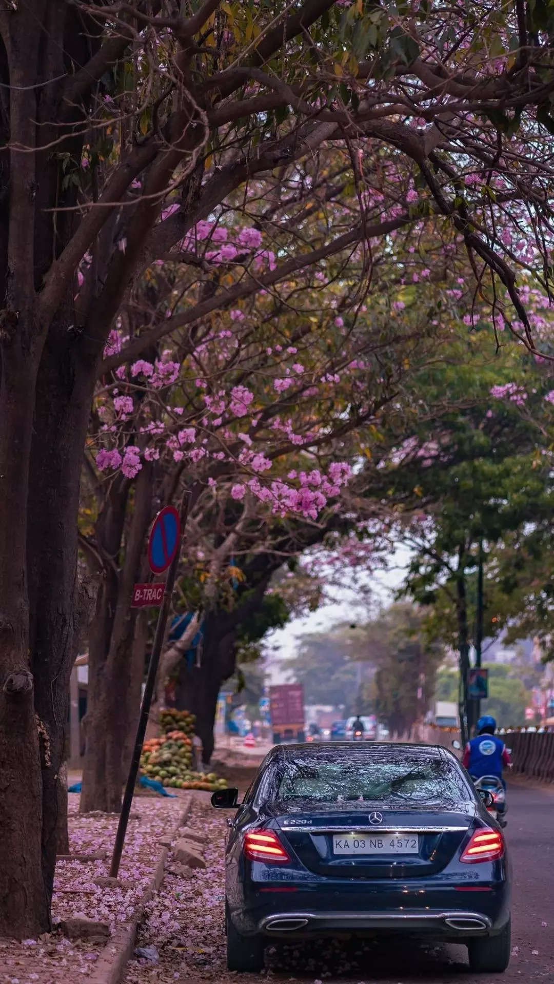 Bengaluru streets turn pink with Cherry Blossom-like flowers