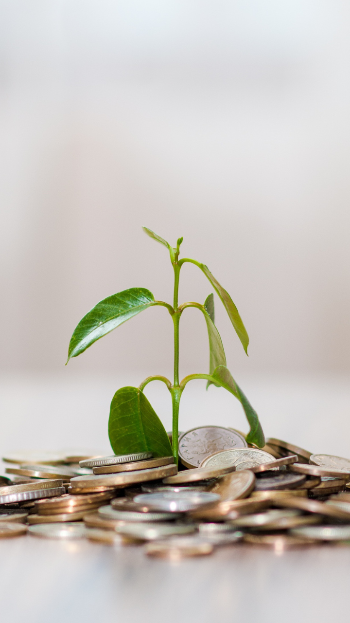 Savings after spending money