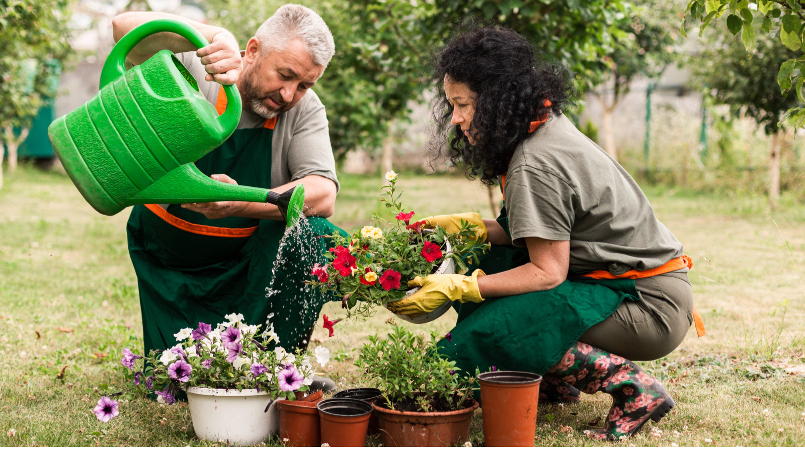 Why Mornings And Evenings Matter In Your Garden Routine