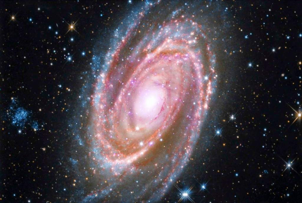 Spiral Galaxy M81 is shown in this handout photo provided by NASA. M81 is a spiral galaxy located about 12 million light years away from earth, is both relatively large in the sky and bright, making it a frequent target for both amateur and professional astronomers. This image is part of a 'quartet of galaxies' collaboration of professional and amateur astronomers that combines optical data from amateur telescopes with data from the archives of NASA missions. (REUTERS/NASA)