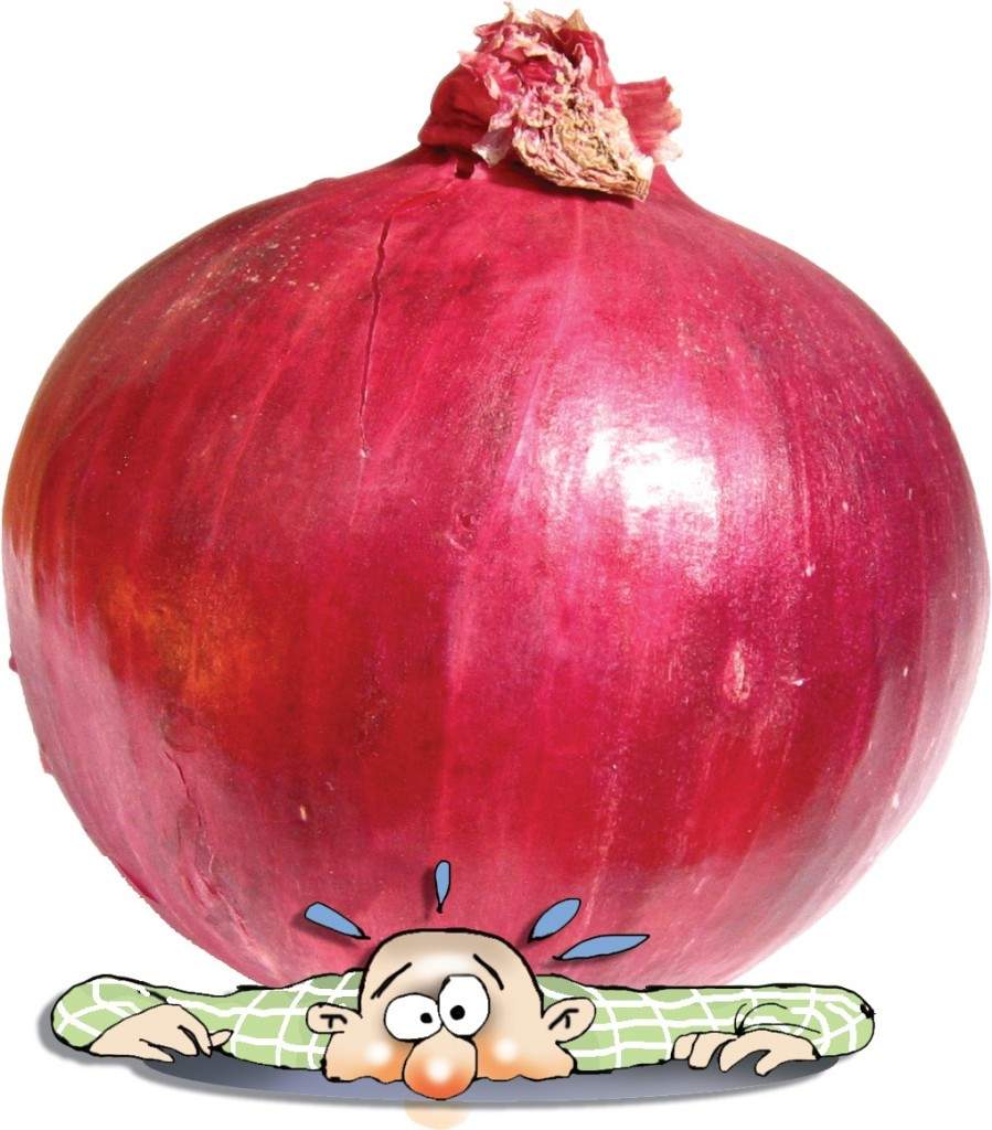 onion-toon-1