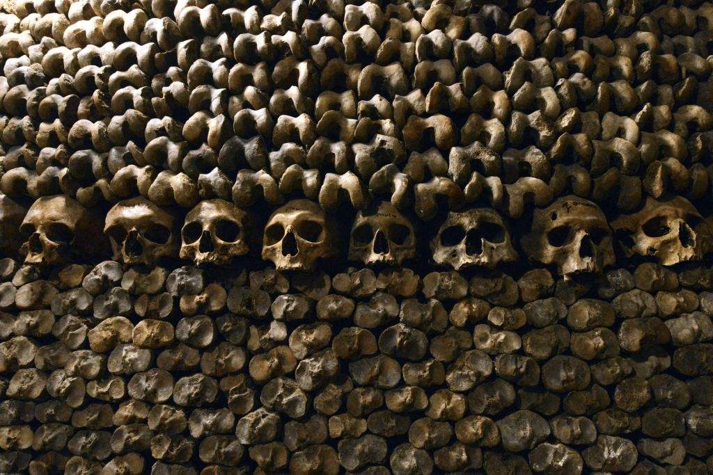 Photo taken at the Catacombs of Paris shows skulls and bones stacked and arranged. These underground quarries were used to store the remains of generations of Parisians in a bid to cope with the overcrowding of Paris' cemeteries at the end of the 18th century, and are now a popular tourist attraction. (AFP PHOTO/DOMINIQUE FAGET)