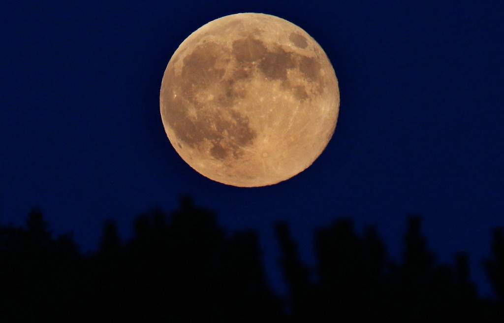 A supermoon rises through the trees in Spencer, New York. (Tom Pennington/Getty Images/AFP)