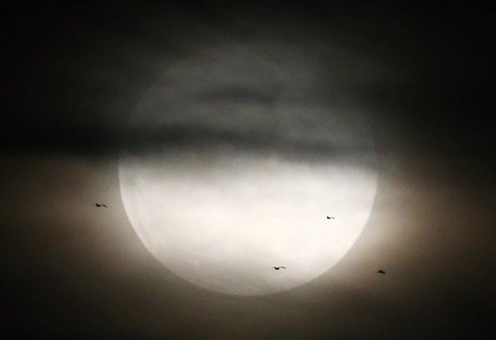 Birds fly past as a supermoon rises in the sky in Rio de Janeiro, Brazil. (Mario Tama/Getty Images/AFP)