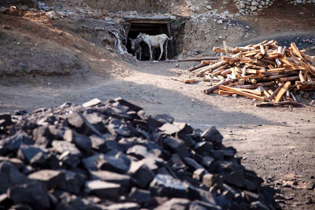 Donkeys stand at the entrance of a coal mine in Choa Saidan Shah, Punjab province
