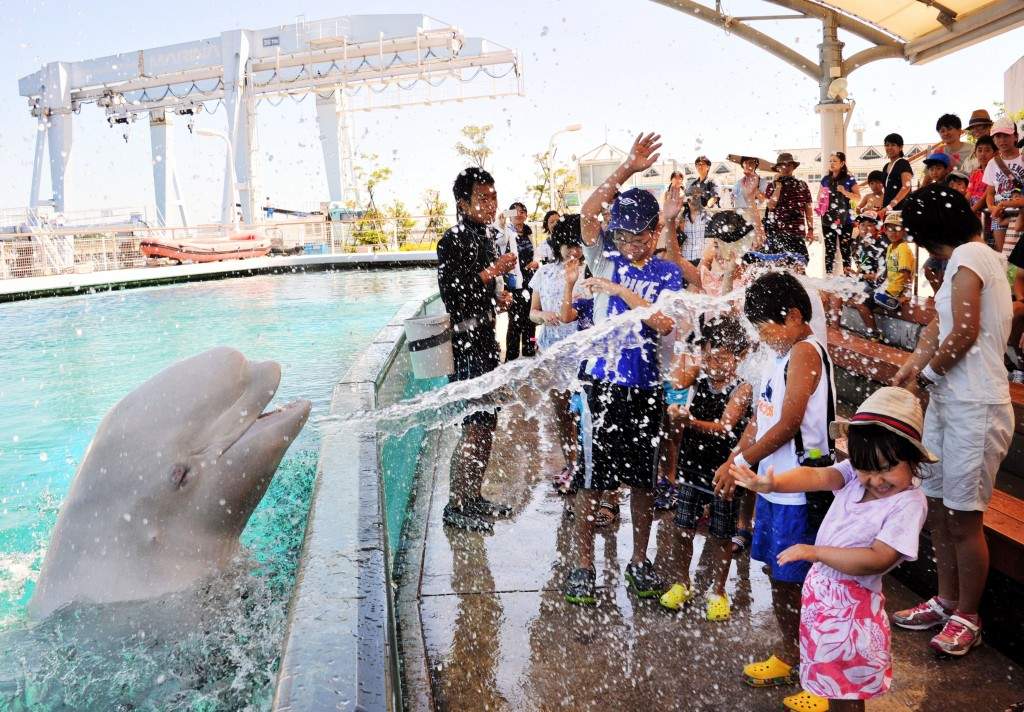 A beluga whale sprays water onto visitors at a summer attraction at the Hakkeijima Sea Paradise aquarium in Yokohama, suburban Tokyo. (AFP PHOTO / Yoshikazu TSUNO)
