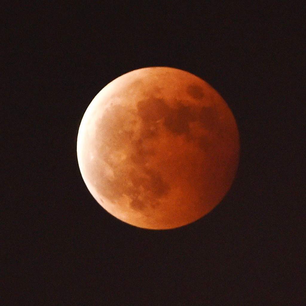 This photo taken on October 8, 2014 shows a blood moon during a total lunar eclipse in Hefei, east China's Anhui province. (AFP PHOTO)