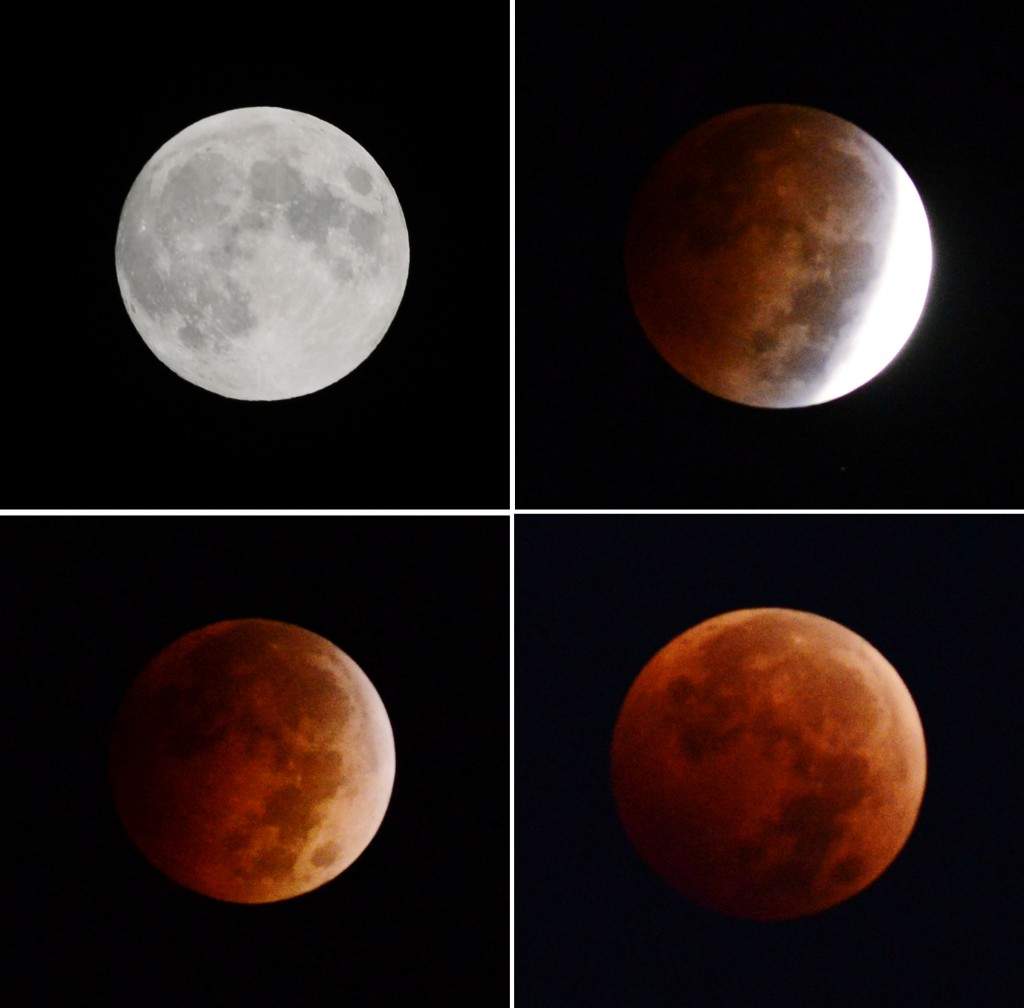 A combination photo shows the moon above Geneva, Ill during a lunar eclipse on Wednesday, Oct 8, 2014. (AP Photo/Daily Herald, Jeff Knox) 