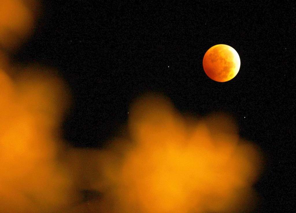 A lunar eclipse appears above City Park in Casper, Wyo. in the early hours of Wednesday. (AP Photo/The Casper Star-Tribune, Dan Cepeda) 
