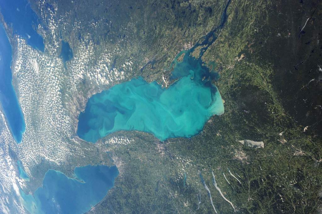 Late summer plankton blooms across much of Lake Ontario. (REUTERS/NASA)