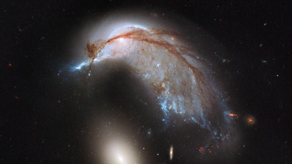 Arp 142: The interacting galaxy duo that makes up this celestial hummingbird is collectively called Arp 142. The pair contains the disturbed, star-forming spiral galaxy NGC 2936, along with its elliptical companion, NGC 2937, at lower left. Once part of a flat, spiral disk, the orbits of the galaxy's stars have become scrambled due to gravitational tidal interactions with the other galaxy. This warps the galaxy's orderly spiral, and interstellar gas is strewn out into giant tails like stretched taffy. (Courtesy: http://hubblesite.org/)