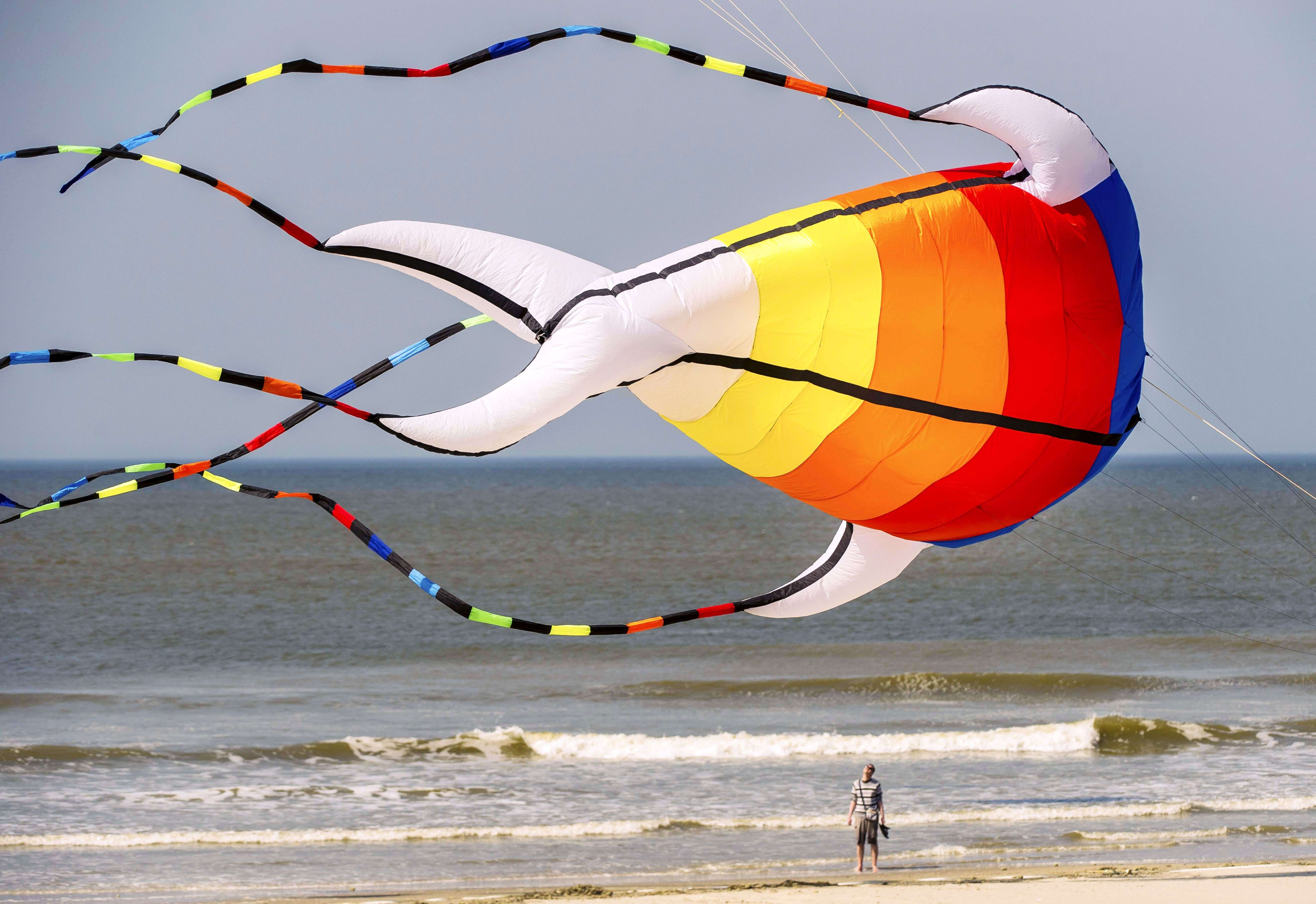 A man looks up at a giant kite flying above the beach in Berck, northern France, during the 29th 'Rencontres Internationales de Cerfs Volants' (International Kite Meeting) which runs from April 18 to 26. (AFP PHOTO/PHILIPPE HUGUEN)