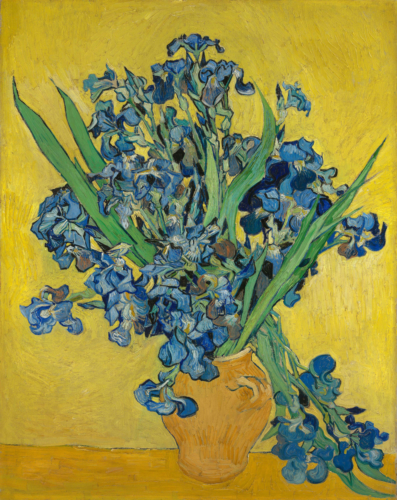 Irises, Van Gogh Museum, Amsterdam.