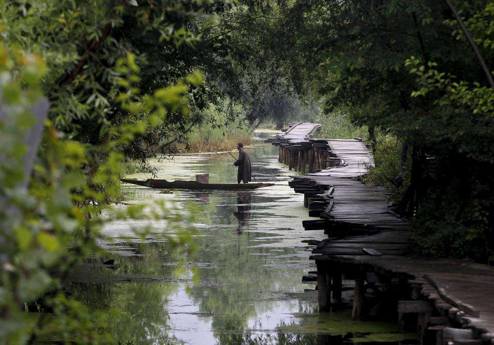 A Kashmiri boatman rows his boat through the waters of Dal Lake during the early morning in Srinagar. (REUTERS/Danish Ismail/Files)